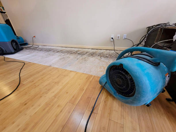 Reliable Basement Flood Cleanup contractor in Georgetown, MS by Hirex Water Damage