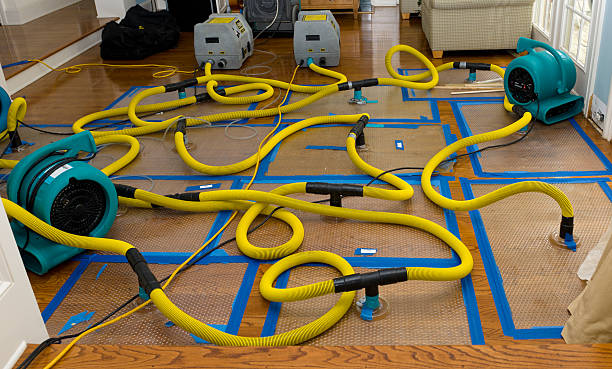 Professional Basement Flood Cleanup technician working in Georgetown, MS